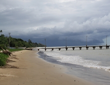 Cedros